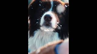 Celebrity We love that she’s always there😭😭💖💖 #heartstopper #nellienelson #nickandcharlie Profile