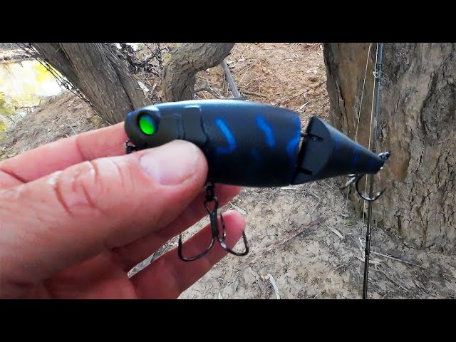 Ultralight Murray cod fishing 4lb line and cheap Kmart lure 