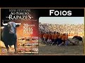 Ó Forcão Rapazes! 2016 - FOIOS - Capeia Arraiana