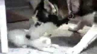 Эта странная дружба! This strange friendship! Эта странная дружба! This strange friendship!