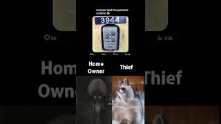 Password