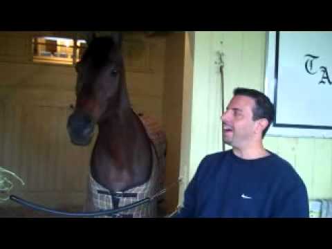 Uncle Mo - Kentucky Derby 2011 Favorite - Exclusive