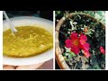 New blog 🌄 মিষ্টি একটা দিন । তোমাদের সাথে ছোটো করে শেয়ার✨