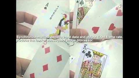 Epson S2S65P10 and S2D13P04 Multi-Camera Controller