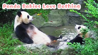 This Panda Mom Doesnt Need To Force Her Babies To Bathe | iPanda