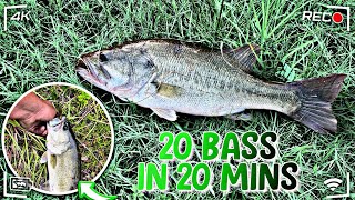 (SPRING BASS FISHING)… by O.T.M VLOGS 68 views 1 month ago 14 minutes, 10 seconds