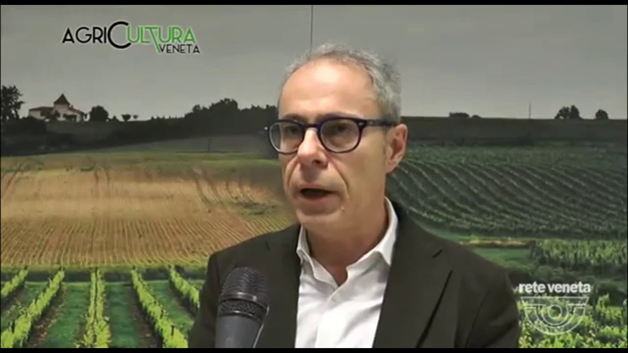 Il P.S.R.: finanziamenti per le aziende agricole - YouTube