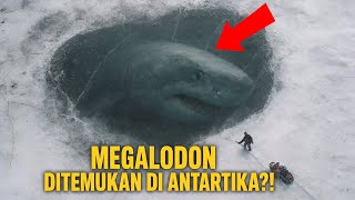 What Did Scientists Find in Antarctica? The Mystery of the Megalodon!