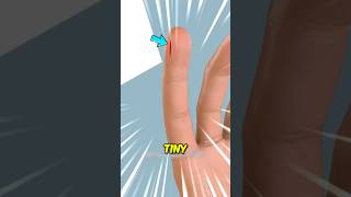 Why Papercuts Hurt Way More Than They Should