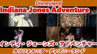 [カリフォルニア・ディズニーランド]インディ・ジョーンズ・アドベンチャー/Indiana Jones Adventure[Disneyland]