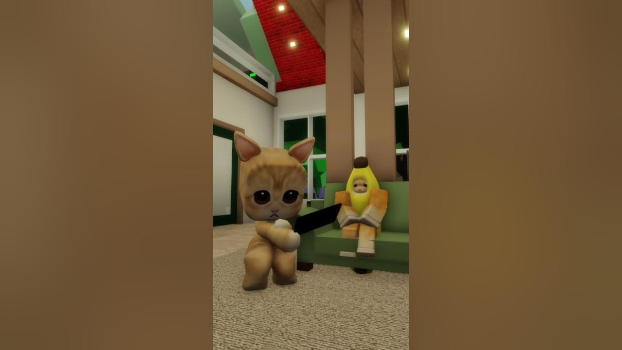 El Gato and Banana Cat plays Roblox 😻 elgato bananacat roblox 