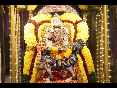 Navaratri in Mylapore | Day 2