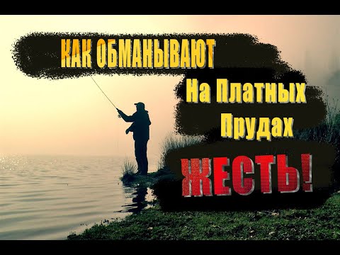 Как обманывают Рыбаков на платных прудах!Жесть!Я бы никогда не подумал - Рыбалка -платный пруд обман