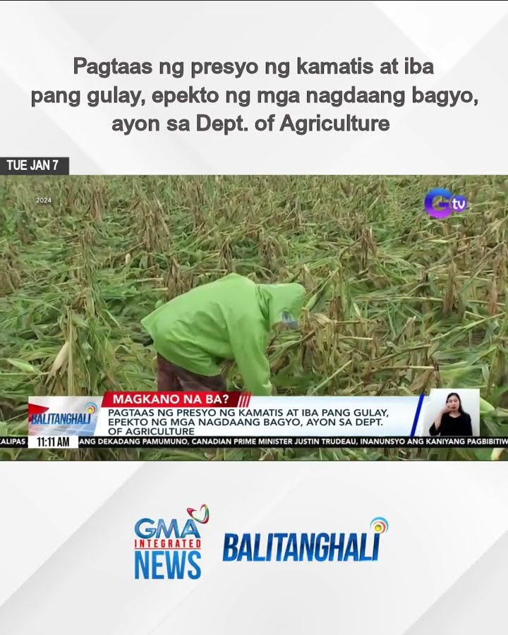 Pagtaas ng presyo ng kamatis at iba pang gulay, epekto... | Balitanghali