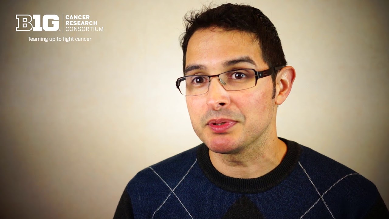 Advanced or Recurrent Endometrial Cancer Clinical Trial