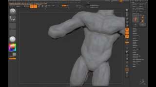 Man - Speed Sculpting