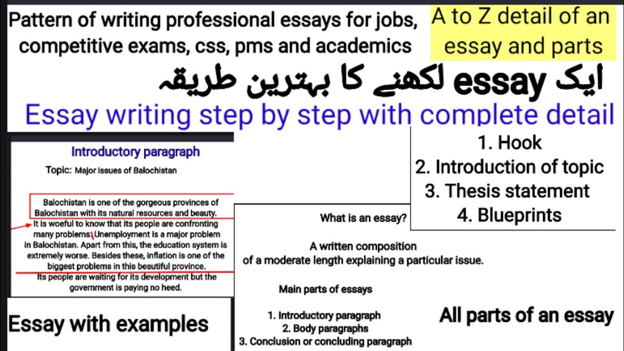 How to write an essay | essay writing step by step | #essaywriting # ...