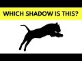 Animal Shadow Guessing Challenge ! | Fun Eye Test Game!