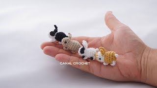 Mini conejitos tutorial amigurumis