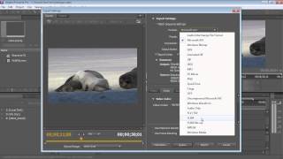 How to export video from Adobe Premiere Pro CS5 to YouTube