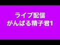 #精子　毎日ライブ配信❣️元気でいきましょう😉