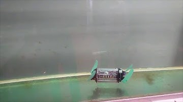 Underwater Robot - Motion Gaits - TalTech (Tallinn University of Technology)