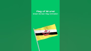 Brunei 🇧🇳 Flag Animation #brunei #flag #animation