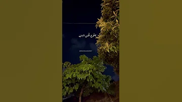 أيطول الهجر وابقى دون لقاء 