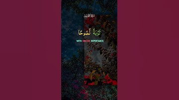 ✨ توبه نصوح – دعوتی به توبه واقعی | سوره التحریم (66:8)