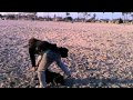 GUY KICKS MY DOG! LONG BEACH CALIFORNIA
