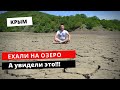 Ехали на озеро а увидели это!Крым.Кроликопарк