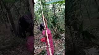 മങങ മങങ മവണടൻ മങങ Sheena Shalus Vlogs