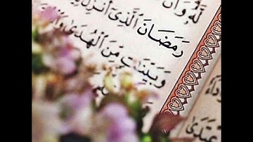 سورة مريم للقارئ أمين موسى. رائعة جدا.