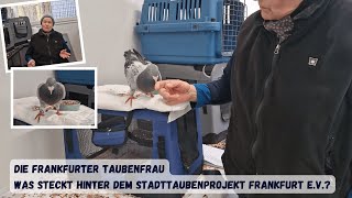 365 Tage im Jahr im Einsatz für Frankfurt: Zahlen & Fakten unseres Vereins