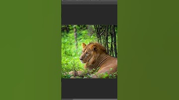 Photoshop basic tools | Marquee tool | Part 1 | Grew editz #youtubeshorts