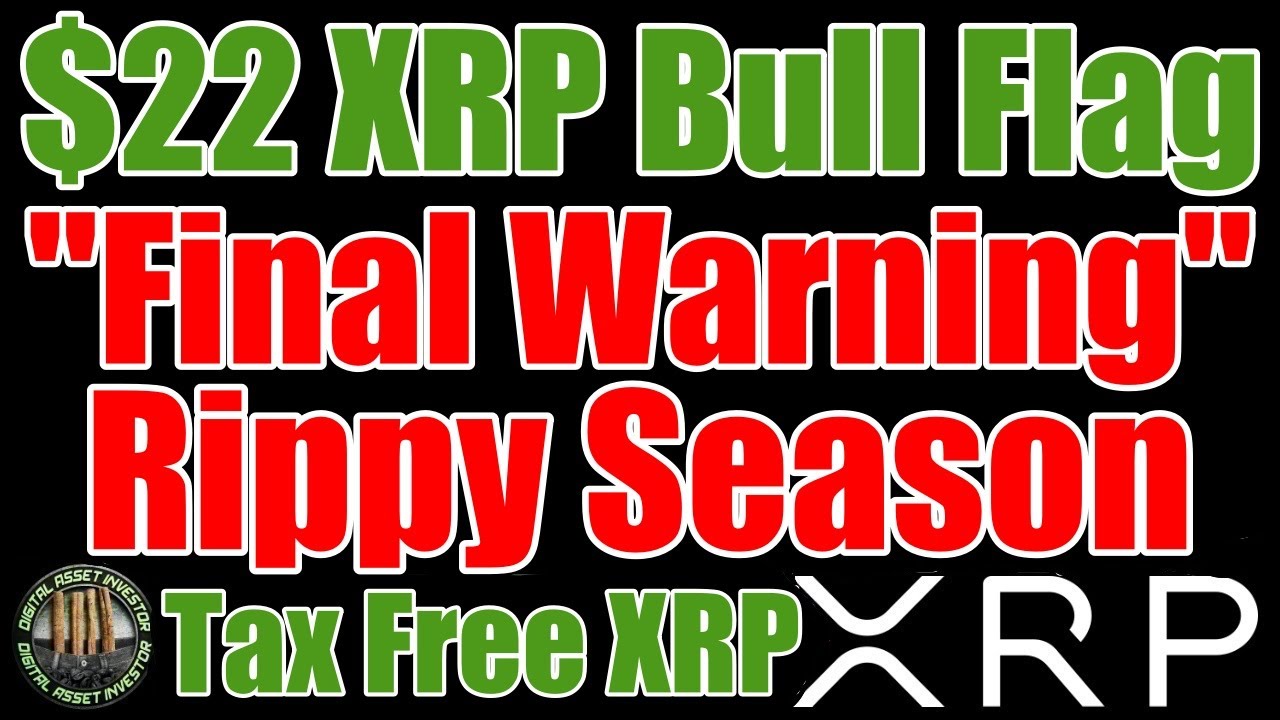 XRP Rippy Season & Ripple Circle Acquisition Rumors Continue