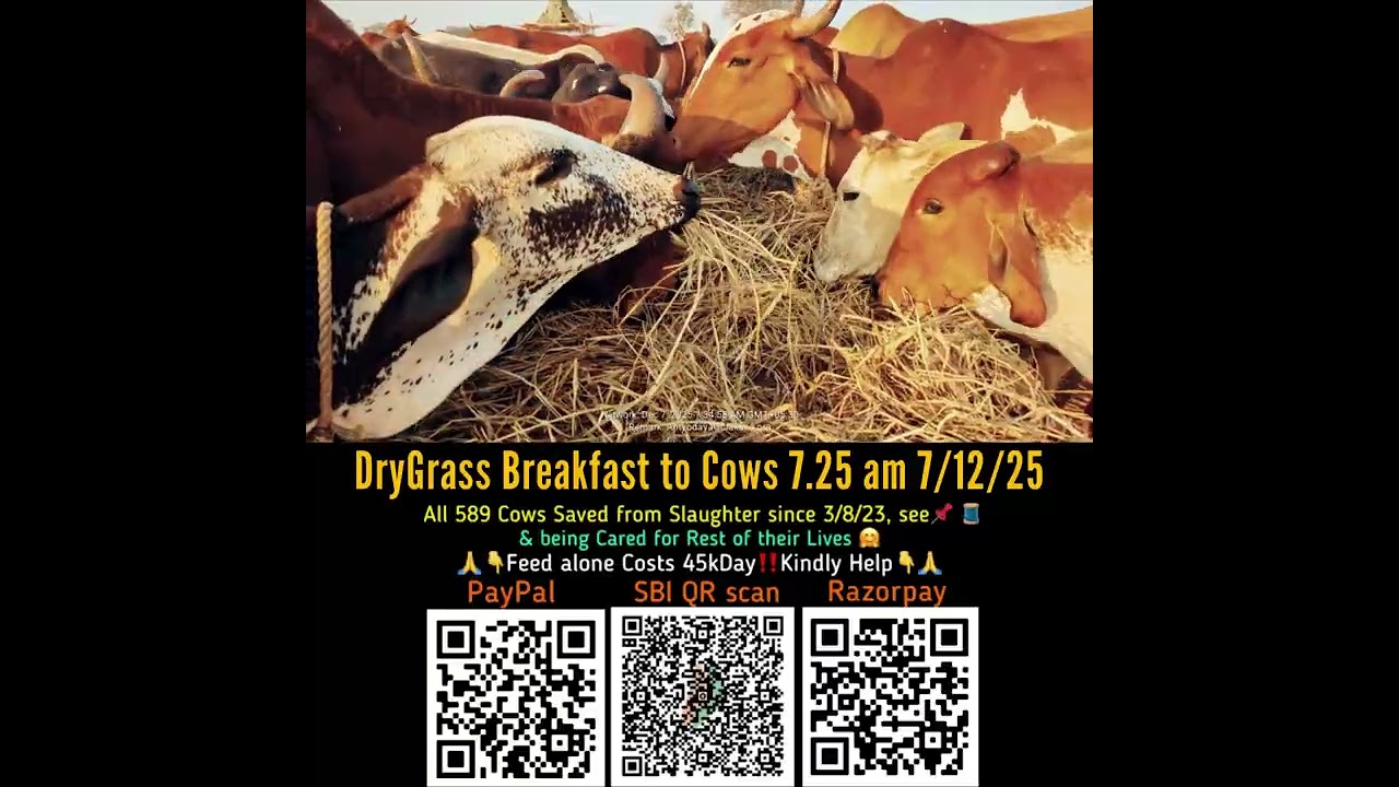 [07 Dec 2025] Gomatas' Breakfast of Dry Grass