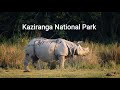 Kaziranga National Park documentary -  #UNESCO_world_heritage_site #Kaziranga_National_Park