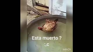 Despierta Rudy :'v