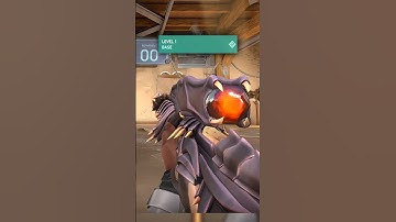 Random Skins on VALORANT in Level 1 | Elderflame Operator