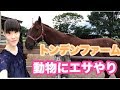 トンデンファームで動物と触れ合う♡エサやりで馬に噛まれる？