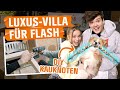 LUXUS-VILLA für FLASH! Wir bauen eine DIY-XXL-HUNDEHÜTTE! | MACH MAL mit OBI