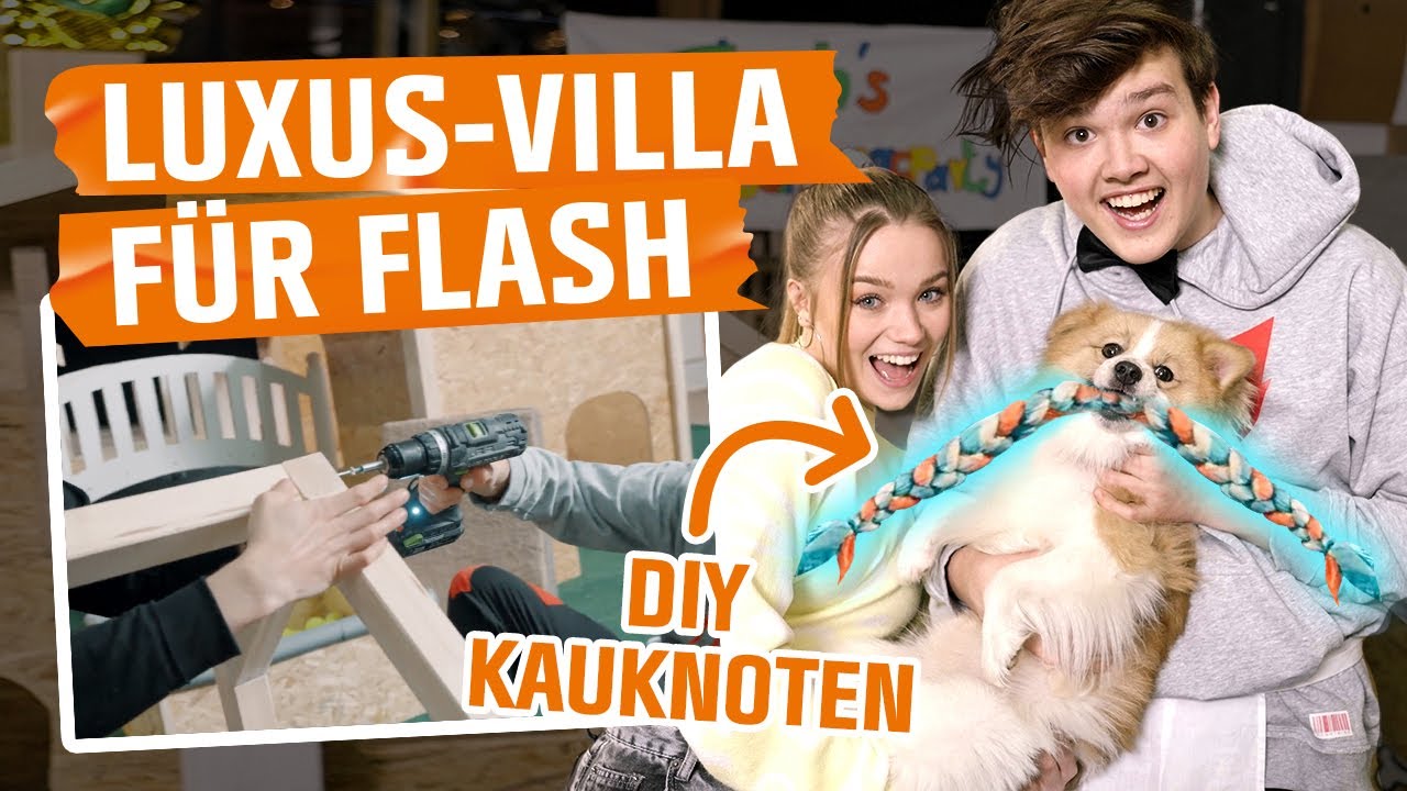 LUXUS-VILLA für FLASH! Wir bauen eine DIY-XXL-HUNDEHÜTTE! | MACH MAL mit OBI