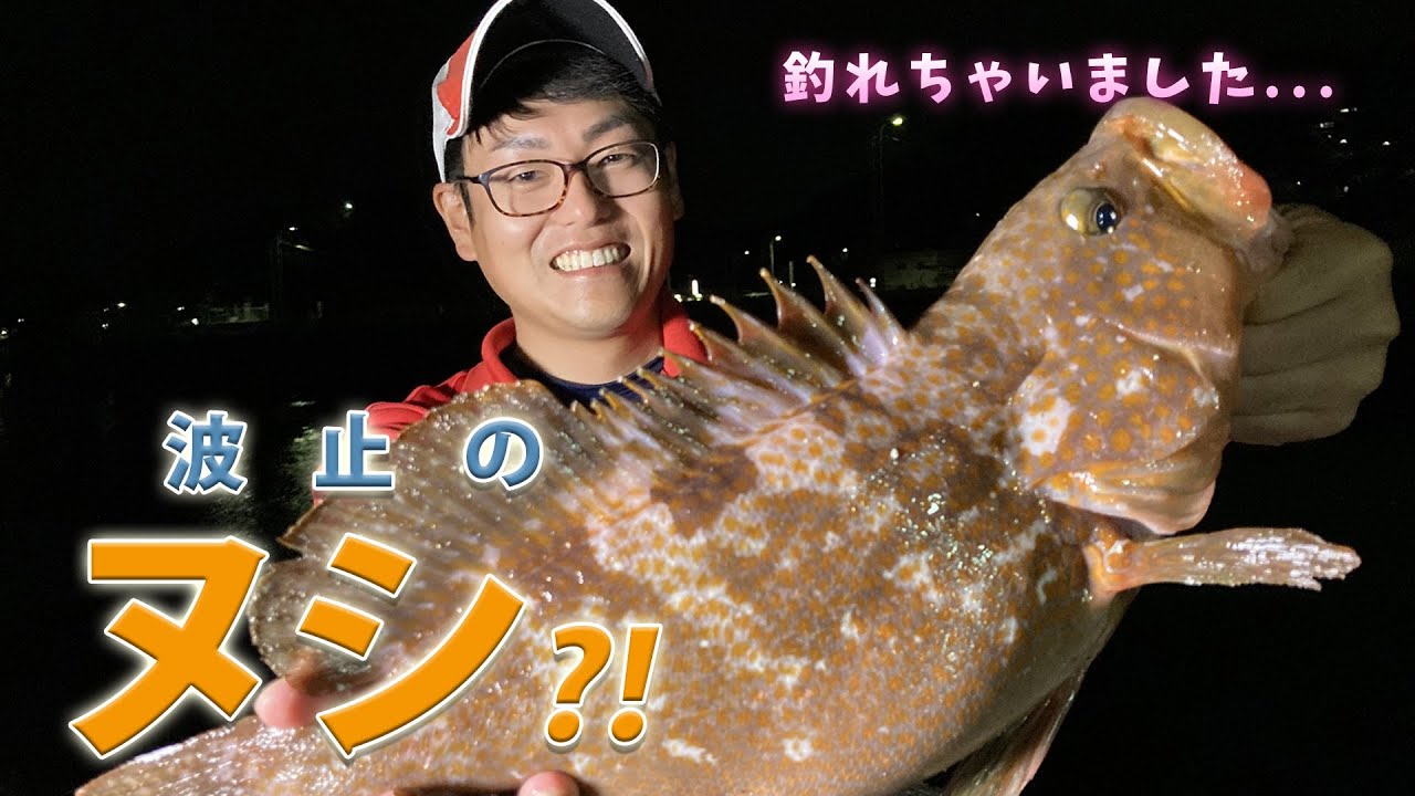 神回 テキサスリグで釣りをしたらやばいサイズのアコウ キジハタ が釣れた Youtube 神回 テキサスリグで釣りをしたらやばいサイズのアコウ キジハタ が釣れた Youtube