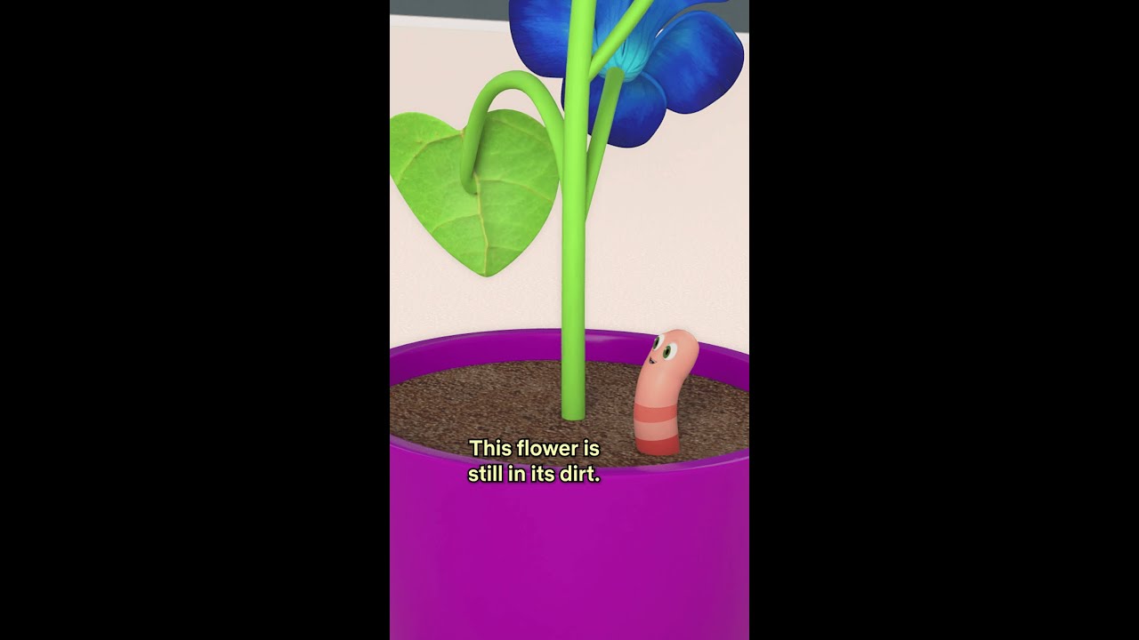 Nico picks the perfect flower for his Papa! 🌼 CoComelon Lane
