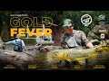 Gold Fever | Official Trailer | Fly fishing for golden dorado, helicopter jungle adventure