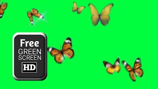 Butterfly green screen video |flying butterfly green screen |butterfly video background green screen