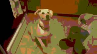 Autotuned Dog with a Little Bass Boost