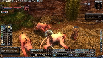 DDO FTP Ep 7.26 - Home of Memory R1