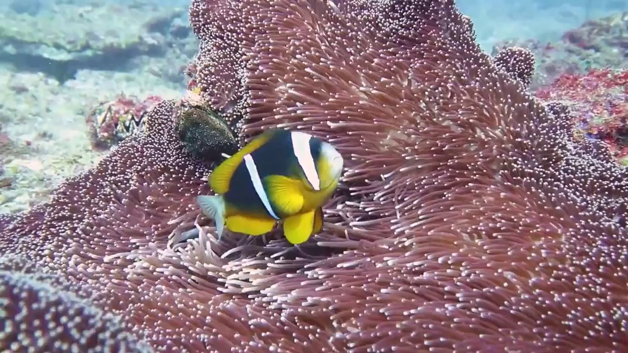 Bazaruto Archipelago